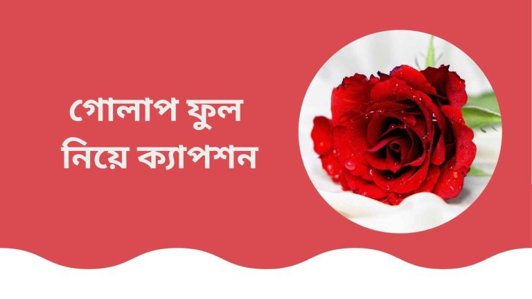 গোলাপ ফুল নিয়ে ক্যাপশন